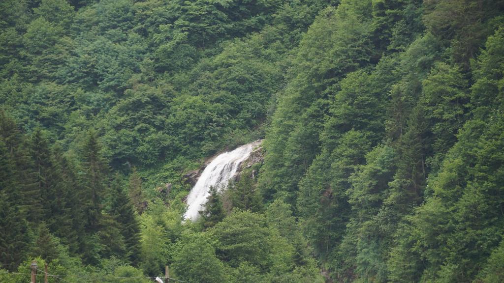 Ayder Resort Hotel Ризе Екстериор снимка