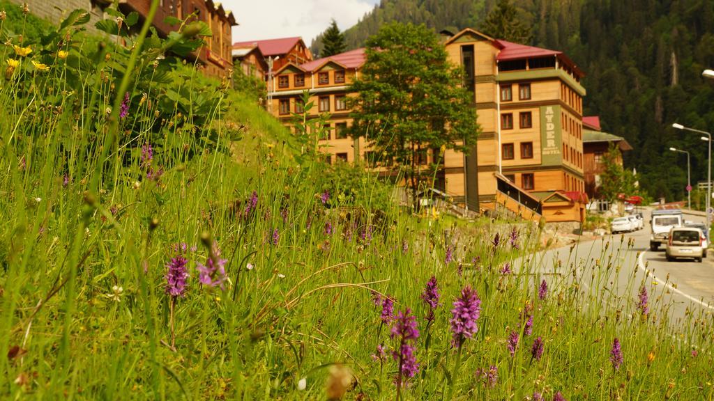 Ayder Resort Hotel Ризе Екстериор снимка