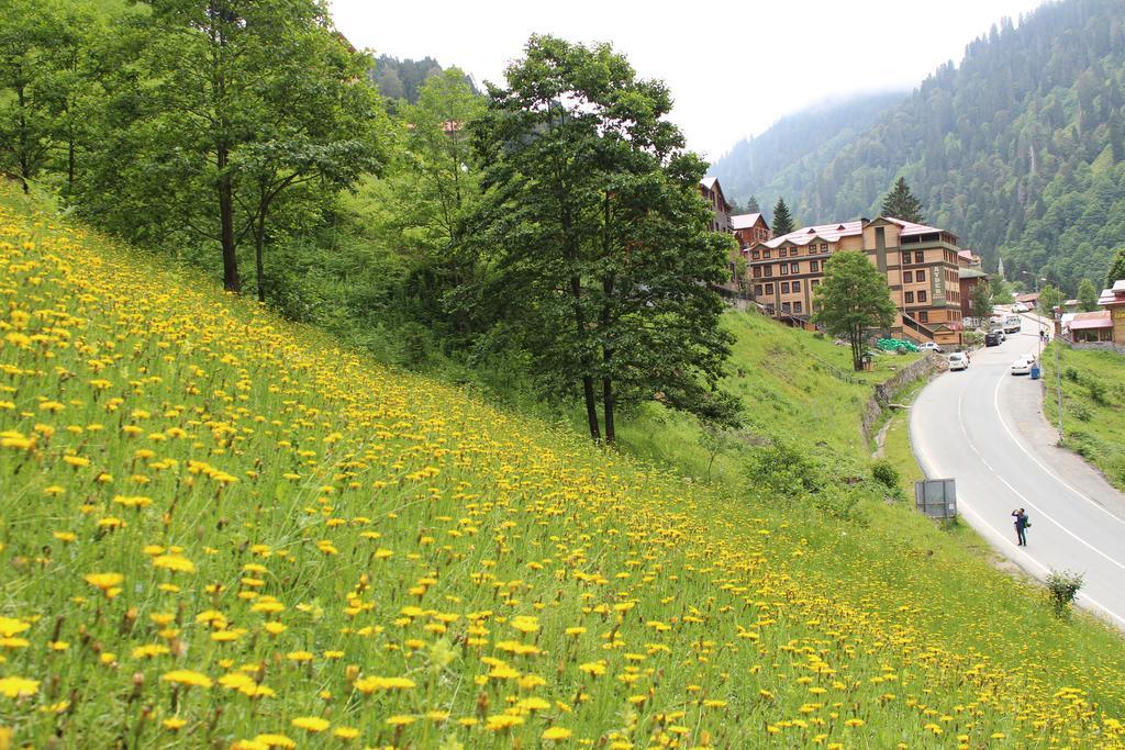 Ayder Resort Hotel Ризе Екстериор снимка